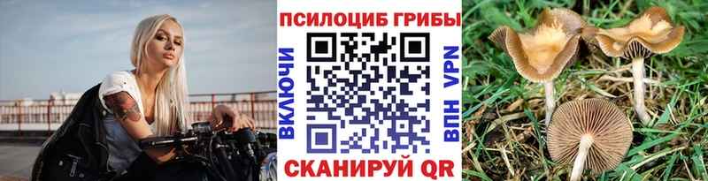 мориарти официальный сайт Красавино Псилоцибиновые грибы Magic Shrooms